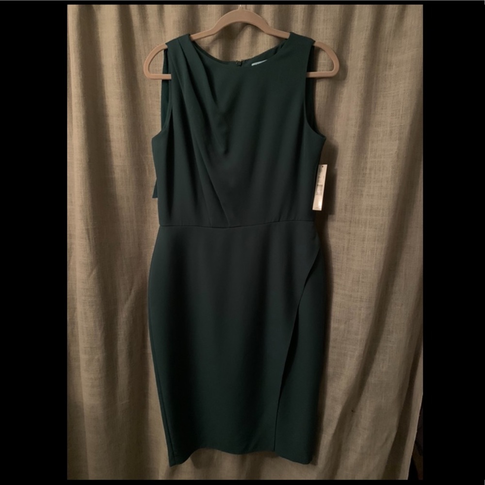Antonio Melani Size 10 NWT Pine Dress